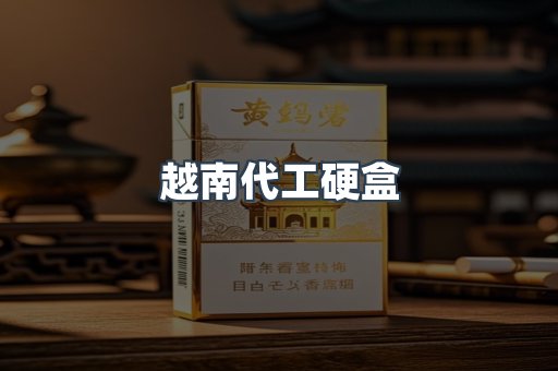 越南代工硬盒
